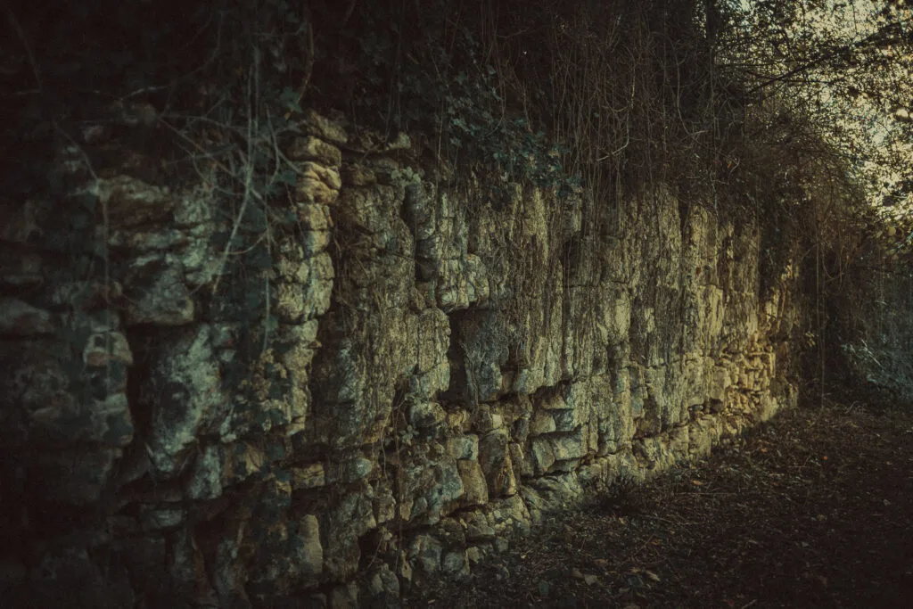 Ancienne paroi en pierre de taille sculptée par le temps sur le sentier des Lapidiales à Port-d'Envaux