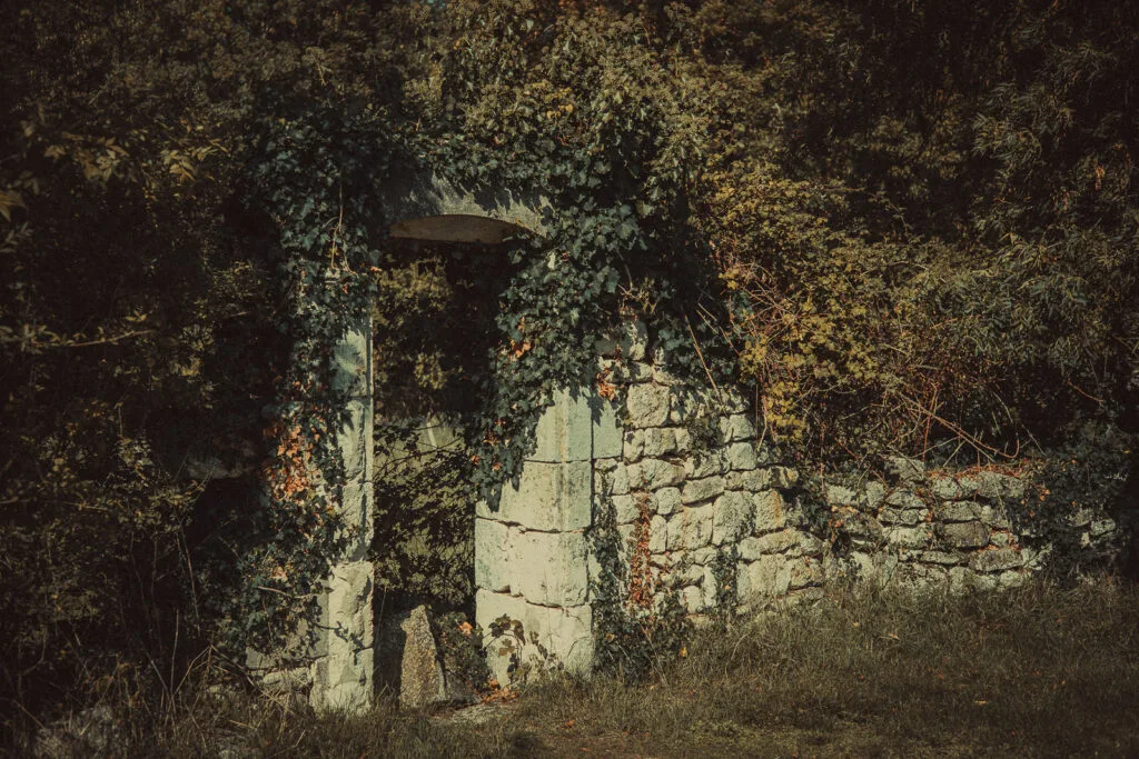 Ancienne porte en pierre de taille couverte de lierre sur le sentier des Lapidiales à Port-d'Envaux