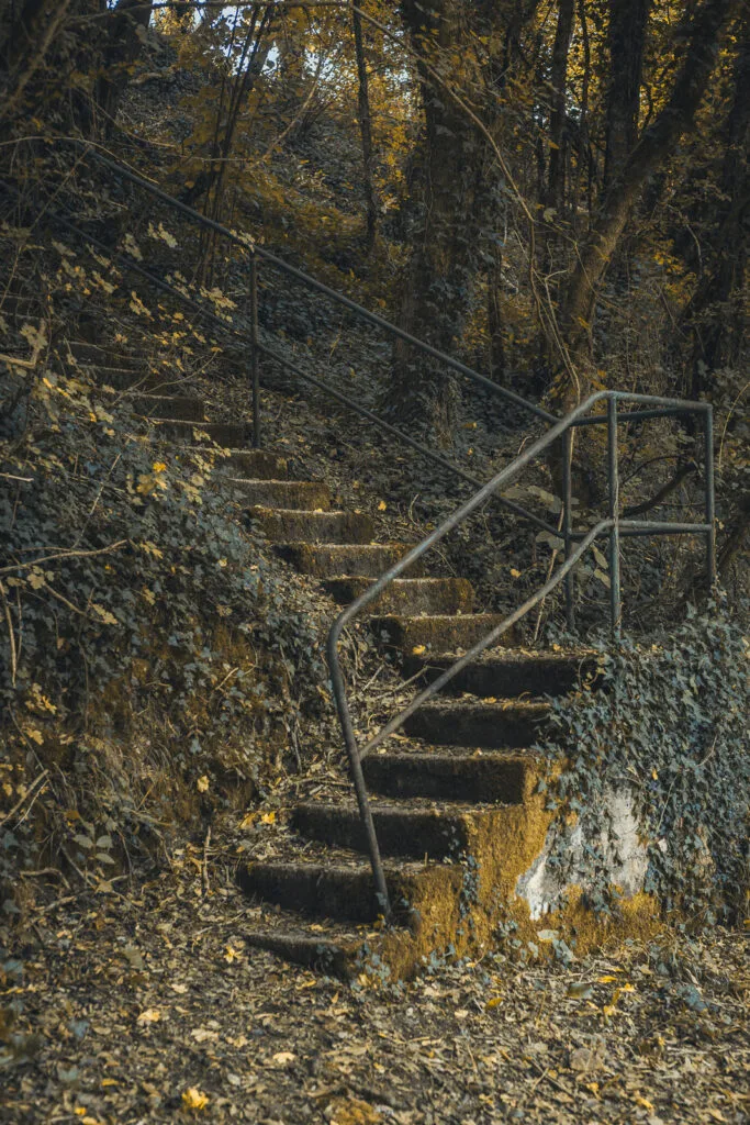 Escalier extérieur en pierre bordé d'une rambarde métallique le long d'une paroi de sous-bois à Port-d'Envaux